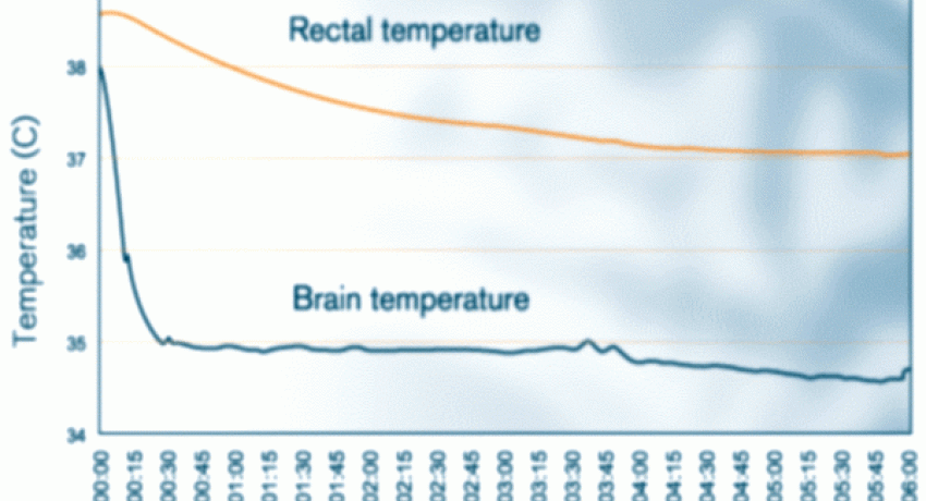 QuickCool Nasal Cavity Cooler​